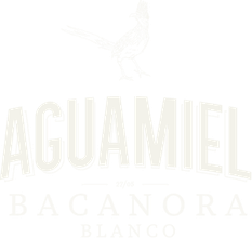 Bacanora Aguamiel